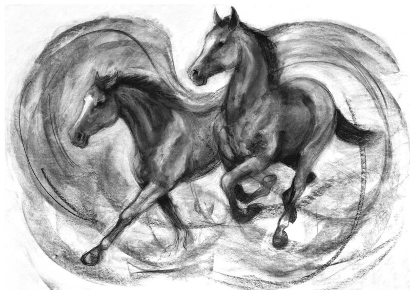 Image of Momentum by Diana Hand